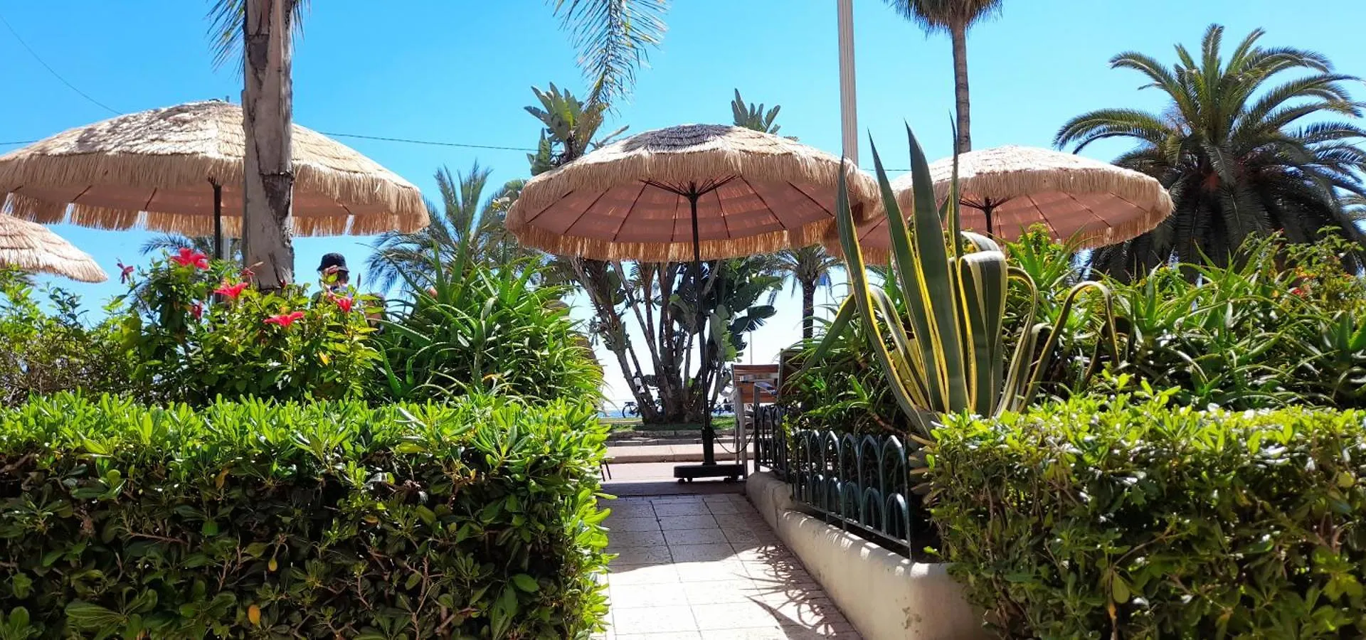 Nice 2 Pieces 200 M Mer Promenade Des Anglais Atypique Original Apartment